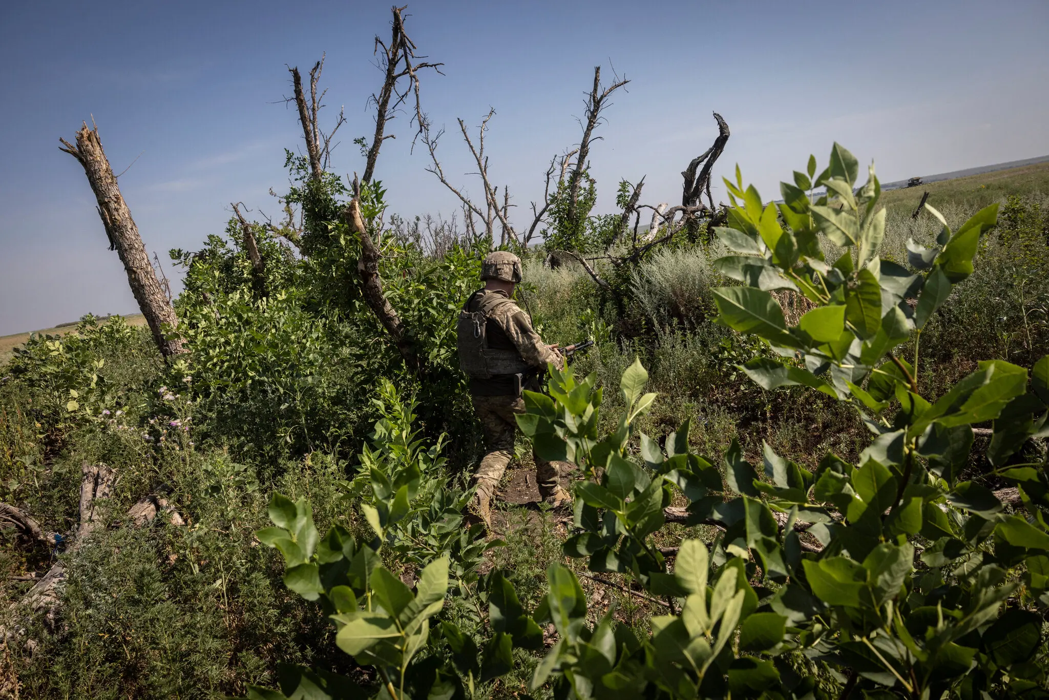 Солдат 58-ї бригади патрулює вздовж розбомбленого лісу приблизно за 600 метрів від російських позицій.